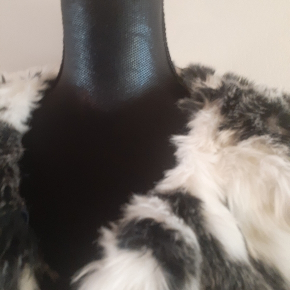 Coat - Picture 4 of 6